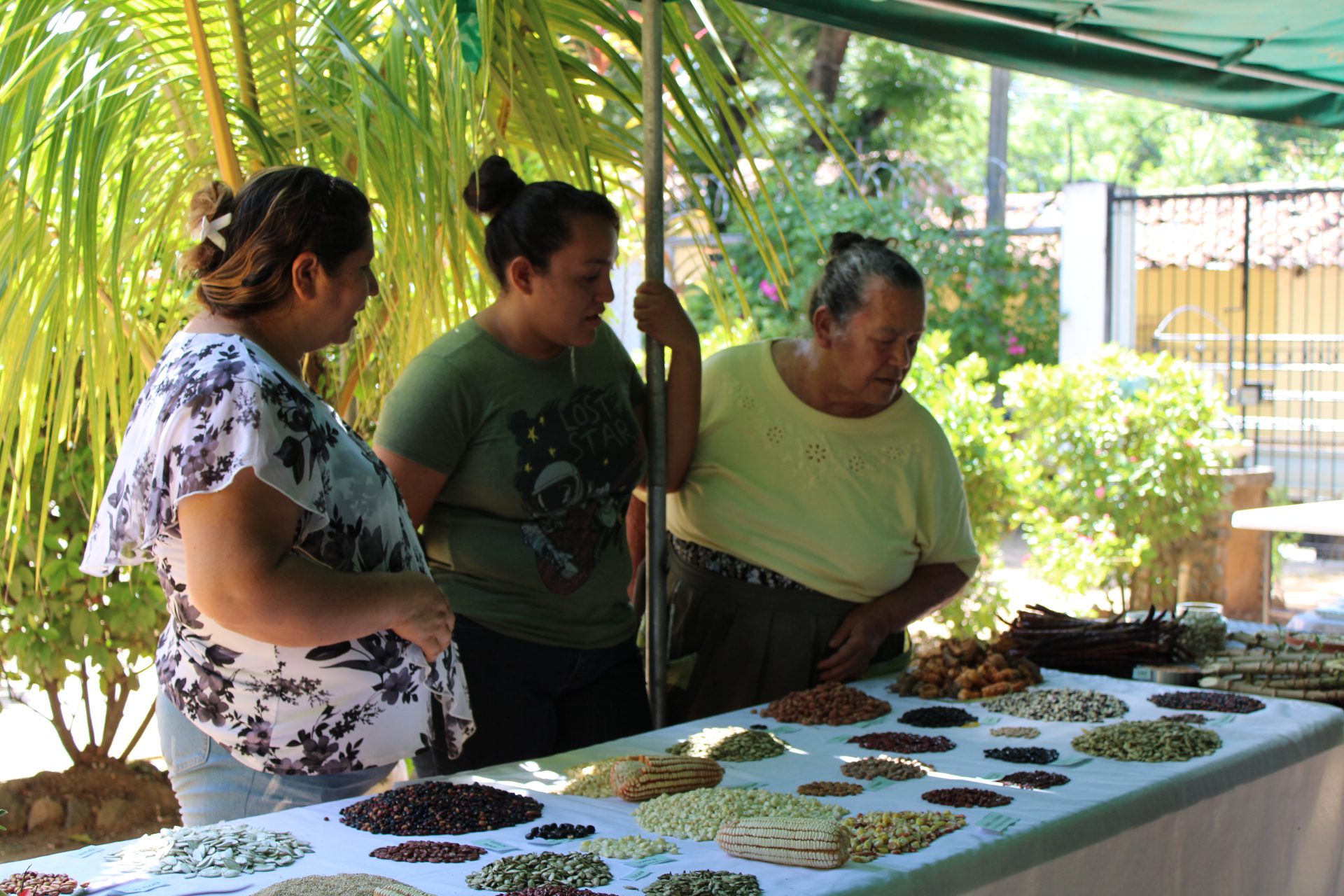 Mujeres y semillas