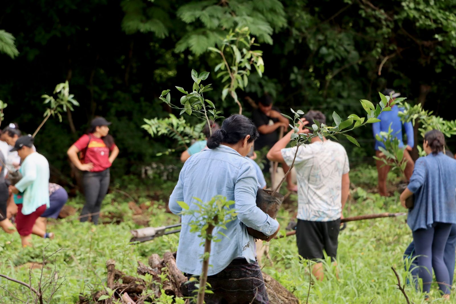 Colectiva Feminista inicia jornadas de reforestación en Suchitoto